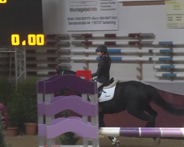 Reitturnier Eicherloh RH Laurent 2017