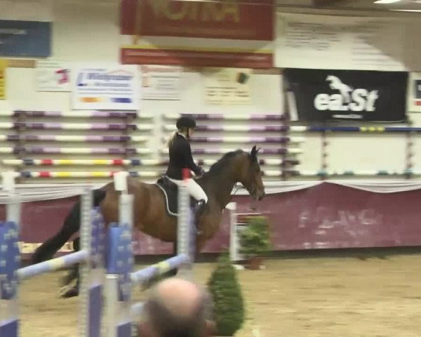 Reitturnier Eicherloh RH Laurent 2017