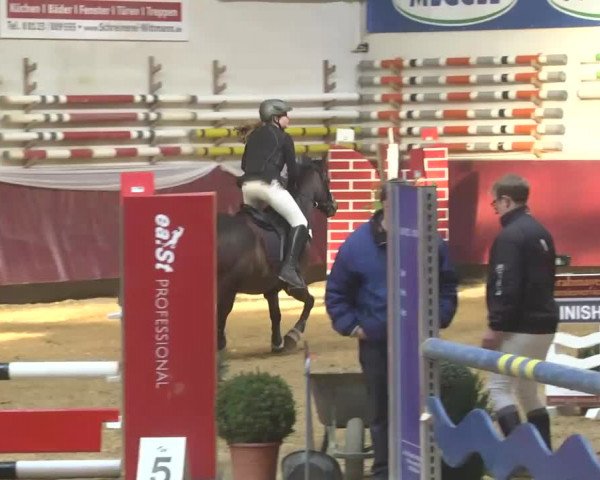 Reitturnier Eicherloh RH Laurent 2017