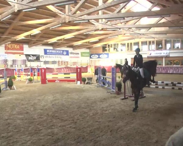 Reitturnier Eicherloh RH Laurent 2017