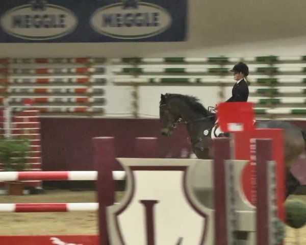 Reitturnier Eicherloh RH Laurent 2017