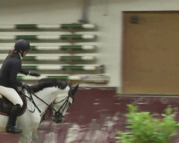 Reitturnier Eicherloh RH Laurent 2017