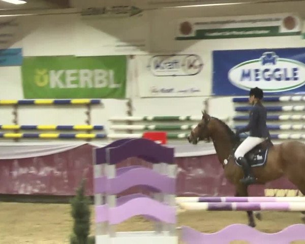 Reitturnier Eicherloh RH Laurent 2017