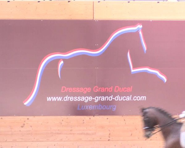 Reitturnier Leudelange-Ecuries des Prés 2017