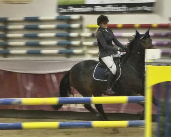 Reitturnier Eicherloh RH Laurent 2017