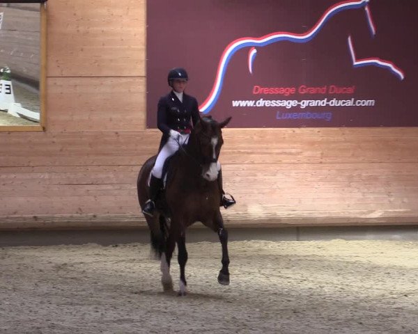 Reitturnier Leudelange-Ecuries des Prés 2017