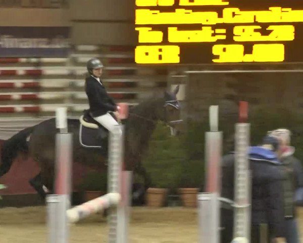 Reitturnier Eicherloh RH Laurent 2017