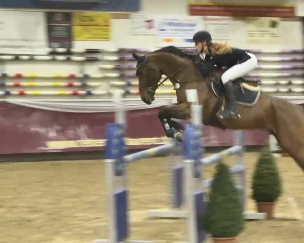 Reitturnier Eicherloh RH Laurent 2017