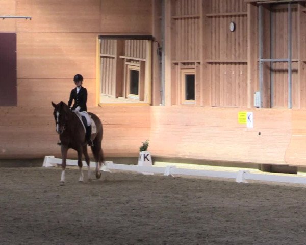 Reitturnier Leudelange-Ecuries des Prés 2017