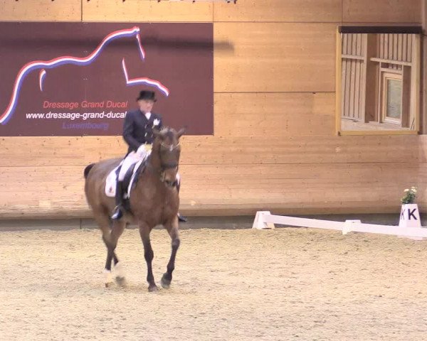 Reitturnier Leudelange-Ecuries des Prés 2017