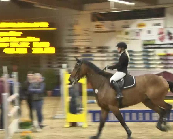 Reitturnier Eicherloh RH Laurent 2017