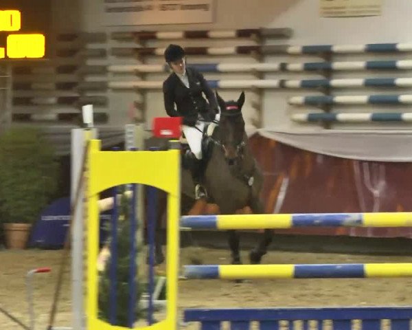 Reitturnier Eicherloh RH Laurent 2017