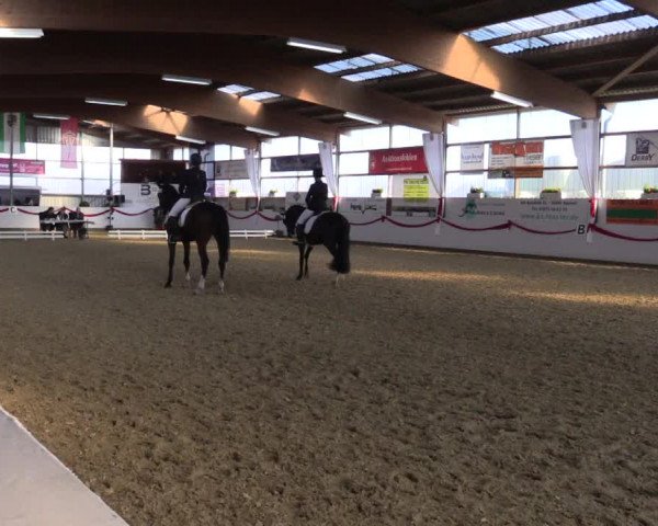 Reitturnier Rhede-Krommert 2017
