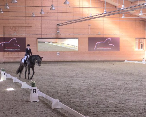 Reitturnier Leudelange-Ecuries des Prés 2017