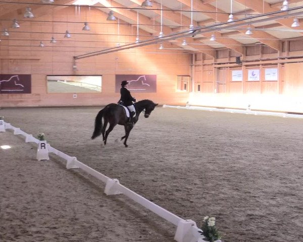Reitturnier Leudelange-Ecuries des Prés 2017