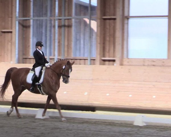 Reitturnier Leudelange-Ecuries des Prés 2017