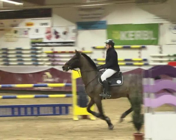 Reitturnier Eicherloh RH Laurent 2017