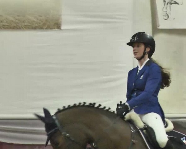 Reitturnier Eicherloh RH Laurent 2017