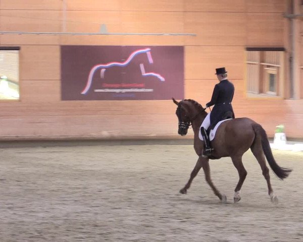 Reitturnier Leudelange-Ecuries des Prés 2017