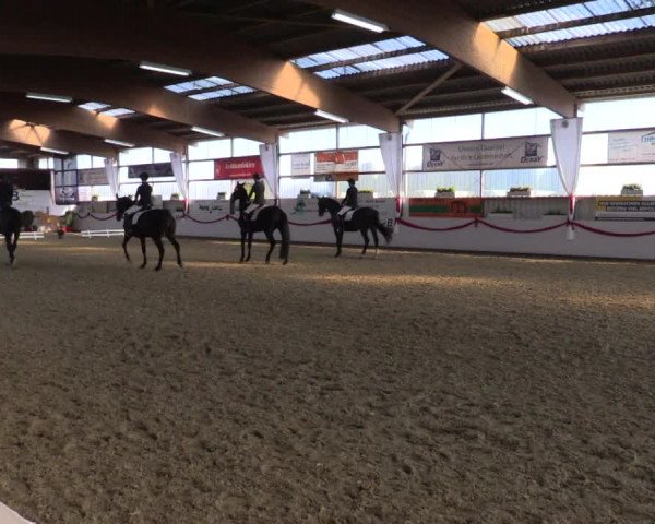 Reitturnier Rhede-Krommert 2017