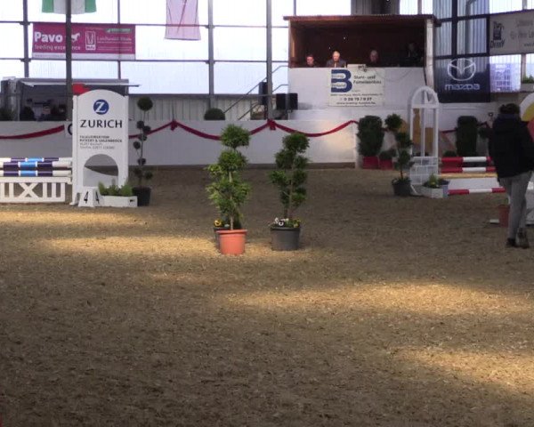 Reitturnier Rhede-Krommert 2017