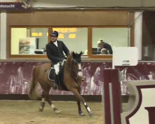 Reitturnier Eicherloh RH Laurent 2017
