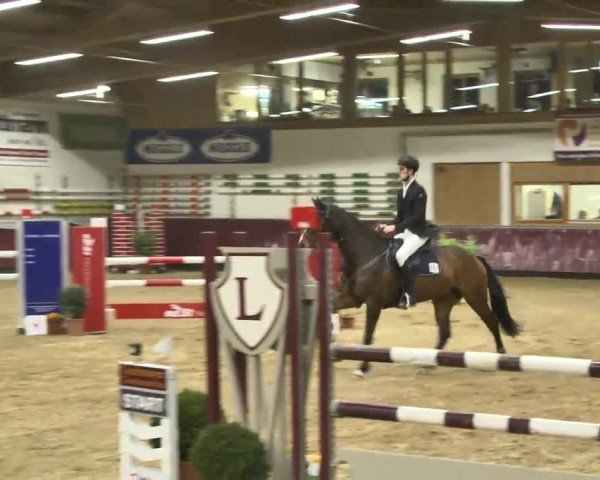 Reitturnier Eicherloh RH Laurent 2017