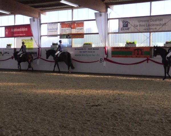 Reitturnier Rhede-Krommert 2017
