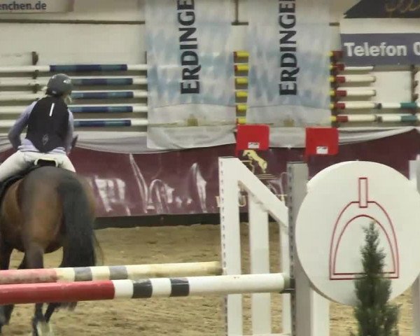 Reitturnier Eicherloh RH Laurent 2017