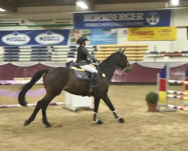 Reitturnier Eicherloh RH Laurent 2017