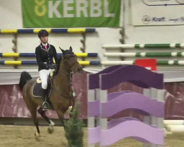 Reitturnier Eicherloh RH Laurent 2017
