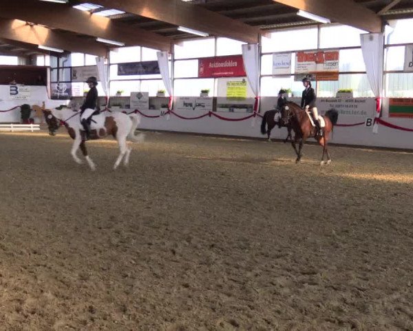 Reitturnier Rhede-Krommert 2017