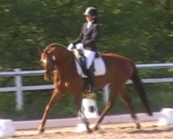 dressage horse Brightly (Trakehner, 2011, from Kentucky)