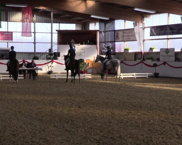 Reitturnier Rhede-Krommert 2017