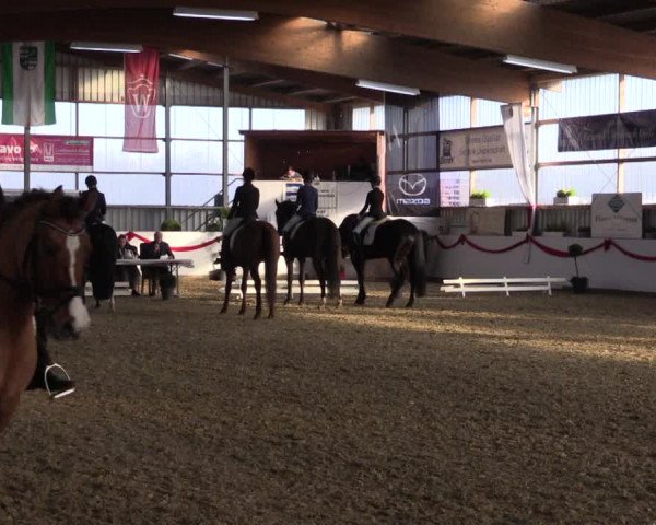 Reitturnier Rhede-Krommert 2017