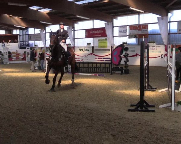 Reitturnier Rhede-Krommert 2017