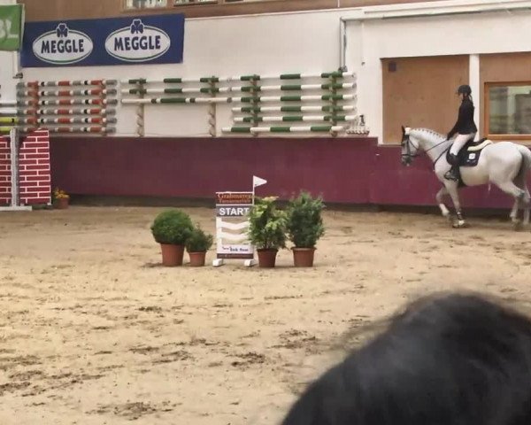 Reitturnier Eicherloh RH Laurent 2017