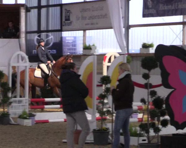 Reitturnier Rhede-Krommert 2017