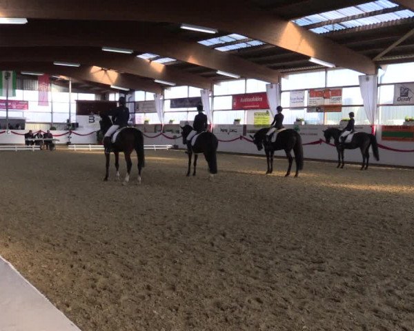 Reitturnier Rhede-Krommert 2017