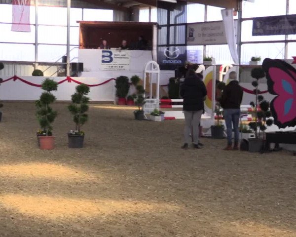 Reitturnier Rhede-Krommert 2017