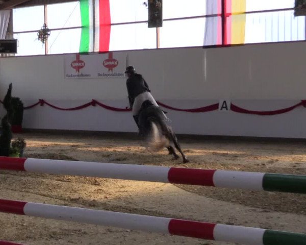 Reitturnier Rhede-Krommert 2017