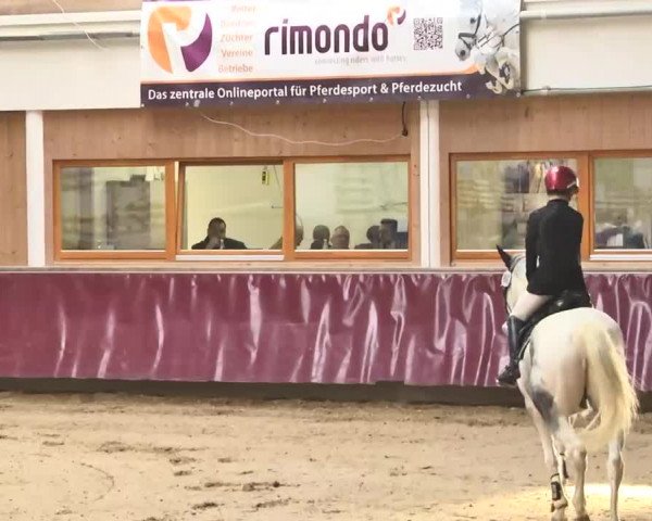 Reitturnier Eicherloh RH Laurent 2017