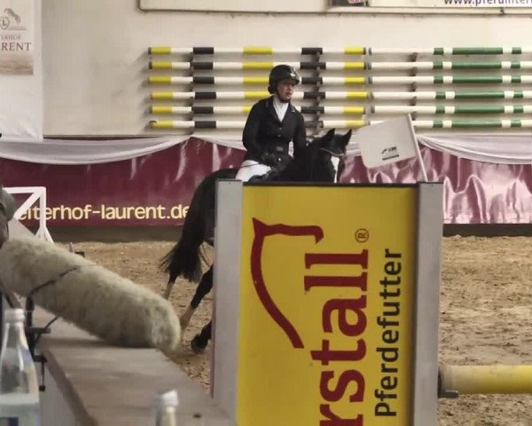 Reitturnier Eicherloh RH Laurent 2017