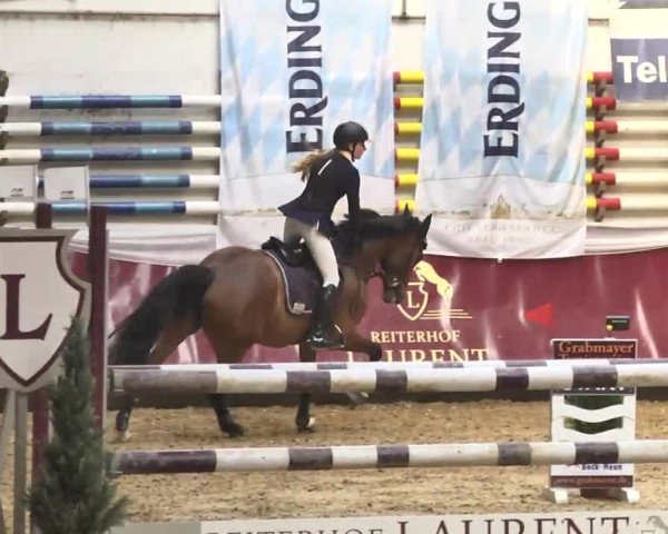 Reitturnier Eicherloh RH Laurent 2017