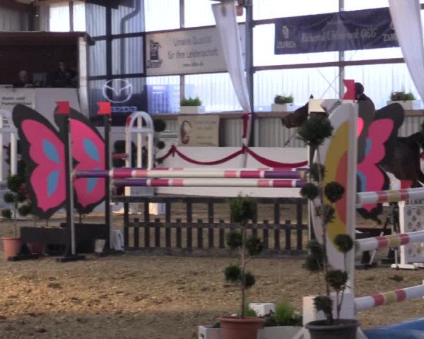 Reitturnier Rhede-Krommert 2017