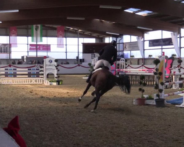 Reitturnier Rhede-Krommert 2017