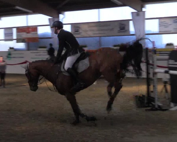 Reitturnier Rhede-Krommert 2017