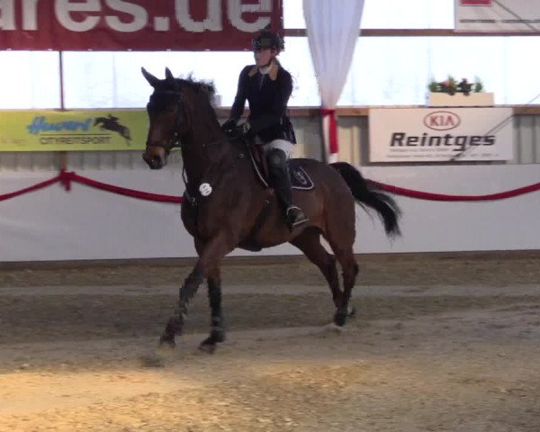 Reitturnier Rhede-Krommert 2017