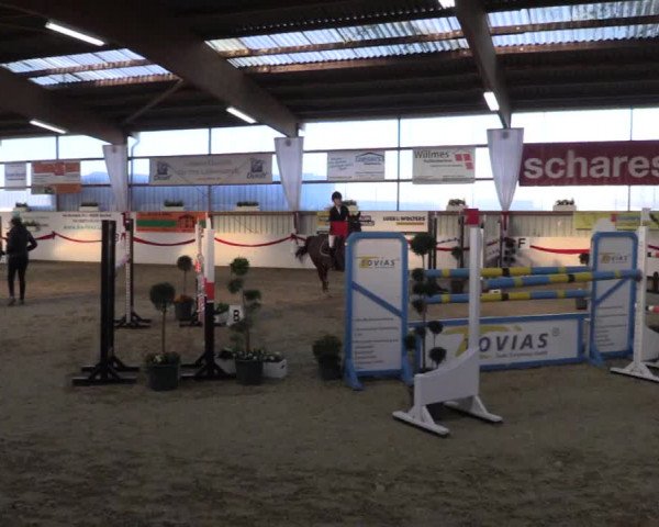 Reitturnier Rhede-Krommert 2017