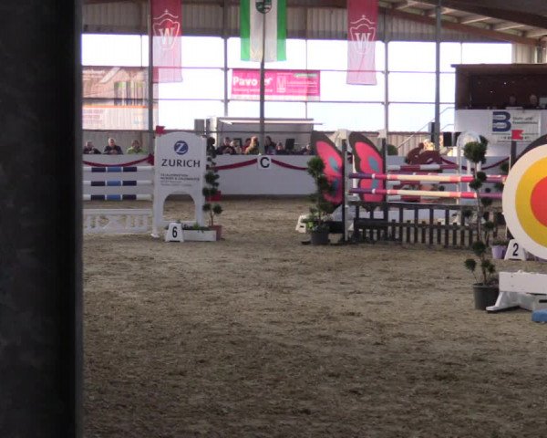 Reitturnier Rhede-Krommert 2017